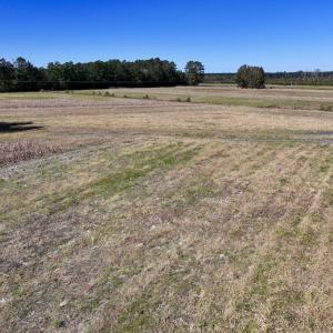 Photo #28 of Off Gaskins Rd, Grimesland, NC 135.3 acres