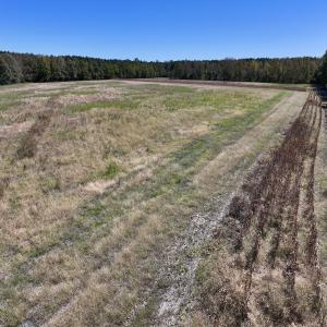 Photo #29 of Off Gaskins Rd, Grimesland, NC 135.3 acres