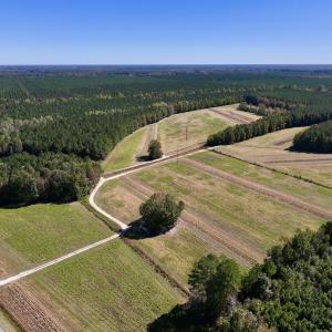 Photo #3 of Off Gaskins Rd, Grimesland, NC 135.3 acres