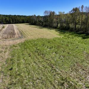 Photo #30 of Off Gaskins Rd, Grimesland, NC 135.3 acres