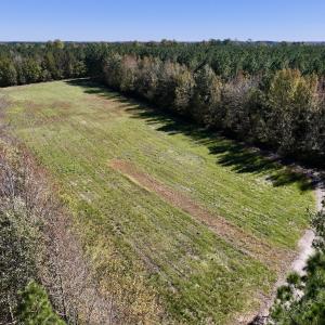 Photo #31 of Off Gaskins Rd, Grimesland, NC 135.3 acres