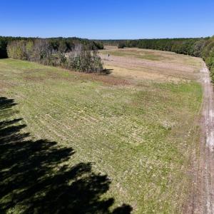 Photo #32 of Off Gaskins Rd, Grimesland, NC 135.3 acres