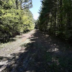Photo #33 of Off Gaskins Rd, Grimesland, NC 135.3 acres