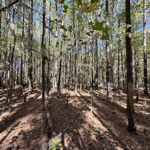 Photo #35 of Off Gaskins Rd, Grimesland, NC 135.3 acres