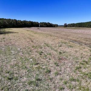 Photo #37 of Off Gaskins Rd, Grimesland, NC 135.3 acres