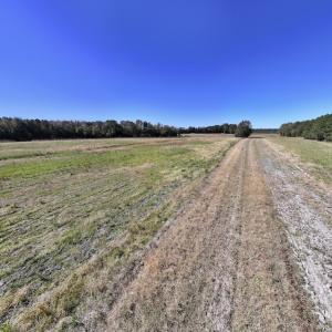 Photo #38 of Off Gaskins Rd, Grimesland, NC 135.3 acres
