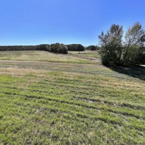 Photo #39 of Off Gaskins Rd, Grimesland, NC 135.3 acres