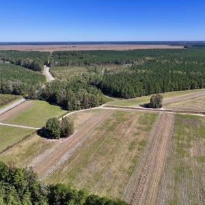 Photo #4 of Off Gaskins Rd, Grimesland, NC 135.3 acres