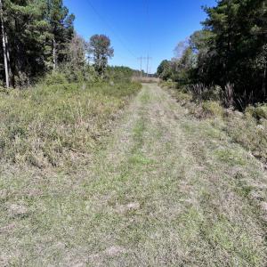 Photo #40 of Off Gaskins Rd, Grimesland, NC 135.3 acres