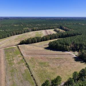 Photo #5 of Off Gaskins Rd, Grimesland, NC 135.3 acres