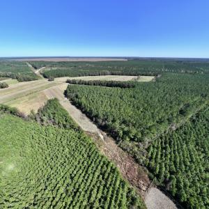 Photo #6 of Off Gaskins Rd, Grimesland, NC 135.3 acres