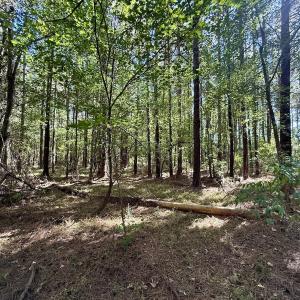 Photo #8 of Off Gaskins Rd, Grimesland, NC 135.3 acres