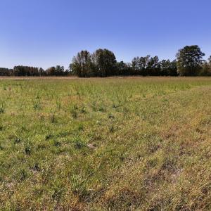 Photo #41 of Off Gaskins Rd, Grimesland, NC 135.3 acres