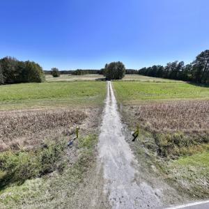 Photo #42 of Off Gaskins Rd, Grimesland, NC 135.3 acres