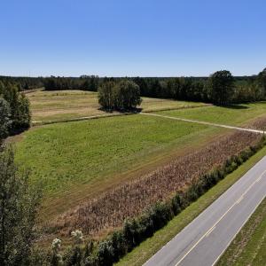 Photo #44 of Off Gaskins Rd, Grimesland, NC 135.3 acres