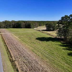 Photo #45 of Off Gaskins Rd, Grimesland, NC 135.3 acres