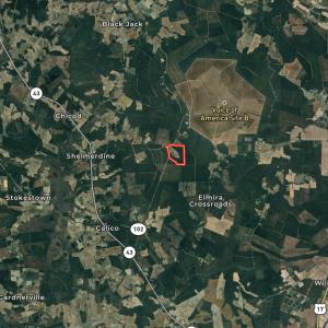 Photo #46 of Off Gaskins Rd, Grimesland, NC 135.3 acres