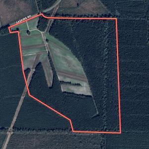 Photo #47 of Off Gaskins Rd, Grimesland, NC 135.3 acres
