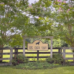 Photo #2 of 390 Line Creek Farm Road, Yanceyville, NC 123.1 acres