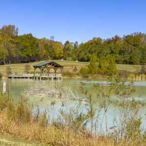 Photo #67 of 390 Line Creek Farm Road, Yanceyville, NC 123.1 acres