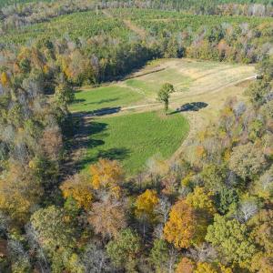 Photo #76 of 390 Line Creek Farm Road, Yanceyville, NC 123.1 acres
