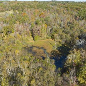 Photo #81 of 390 Line Creek Farm Road, Yanceyville, NC 123.1 acres