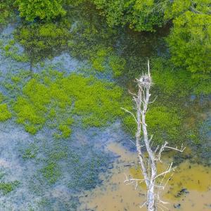 Photo #94 of 390 Line Creek Farm Road, Yanceyville, NC 123.1 acres