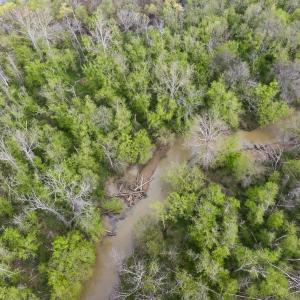 Photo #96 of 390 Line Creek Farm Road, Yanceyville, NC 123.1 acres