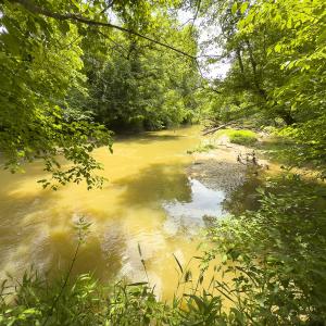 Photo #97 of 390 Line Creek Farm Road, Yanceyville, NC 123.1 acres