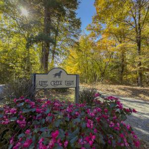 Photo #98 of 390 Line Creek Farm Road, Yanceyville, NC 123.1 acres