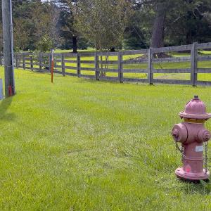 Photo #100 of 390 Line Creek Farm Road, Yanceyville, NC 123.1 acres