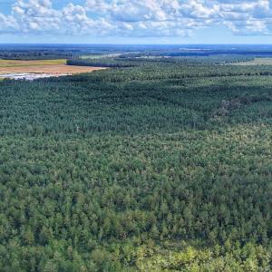 Photo #10 of Off E Pleasant Hill Rd, Pink Hill, NC 81.0 acres