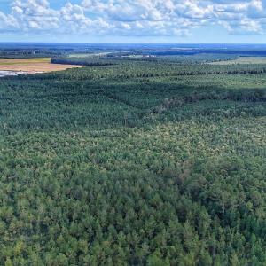 Photo #11 of Off E Pleasant Hill Rd, Pink Hill, NC 81.0 acres