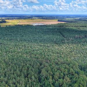 Photo #13 of Off E Pleasant Hill Rd, Pink Hill, NC 81.0 acres