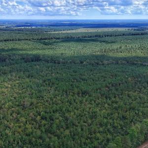 Photo #16 of Off E Pleasant Hill Rd, Pink Hill, NC 81.0 acres