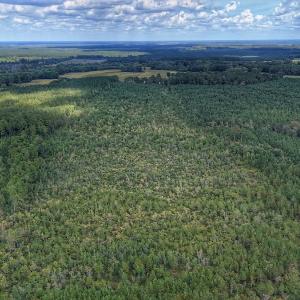 Photo #18 of Off E Pleasant Hill Rd, Pink Hill, NC 81.0 acres