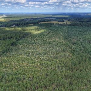 Photo #19 of Off E Pleasant Hill Rd, Pink Hill, NC 81.0 acres