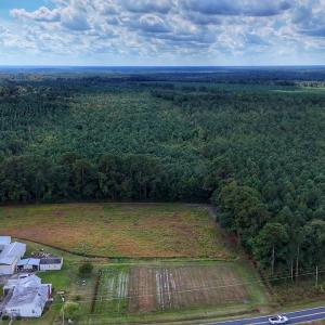 Photo #1 of Off E Pleasant Hill Rd, Pink Hill, NC 81.0 acres