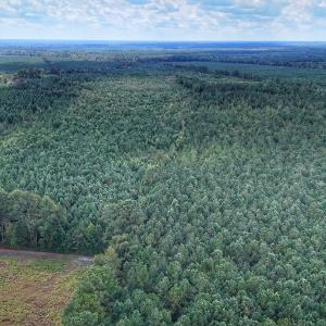 Photo #2 of Off E Pleasant Hill Rd, Pink Hill, NC 81.0 acres