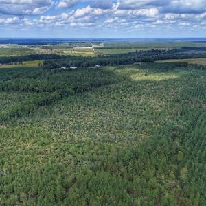 Photo #20 of Off E Pleasant Hill Rd, Pink Hill, NC 81.0 acres