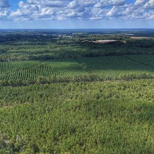 Photo #21 of Off E Pleasant Hill Rd, Pink Hill, NC 81.0 acres