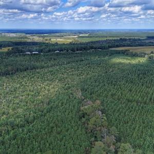 Photo #22 of Off E Pleasant Hill Rd, Pink Hill, NC 81.0 acres