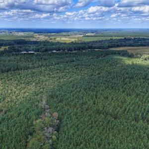 Photo #23 of Off E Pleasant Hill Rd, Pink Hill, NC 81.0 acres