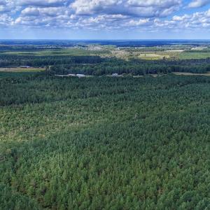 Photo #24 of Off E Pleasant Hill Rd, Pink Hill, NC 81.0 acres