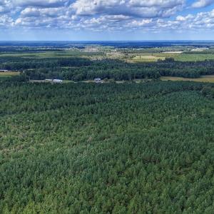 Photo #25 of Off E Pleasant Hill Rd, Pink Hill, NC 81.0 acres