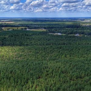 Photo #26 of Off E Pleasant Hill Rd, Pink Hill, NC 81.0 acres