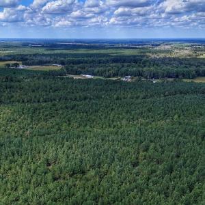 Photo #27 of Off E Pleasant Hill Rd, Pink Hill, NC 81.0 acres