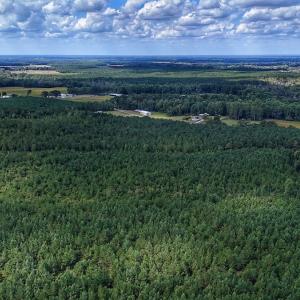 Photo #28 of Off E Pleasant Hill Rd, Pink Hill, NC 81.0 acres