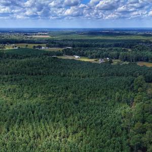 Photo #29 of Off E Pleasant Hill Rd, Pink Hill, NC 81.0 acres