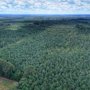 Photo #3 of Off E Pleasant Hill Rd, Pink Hill, NC 81.0 acres